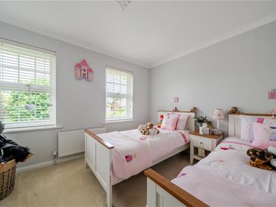 Picture 15